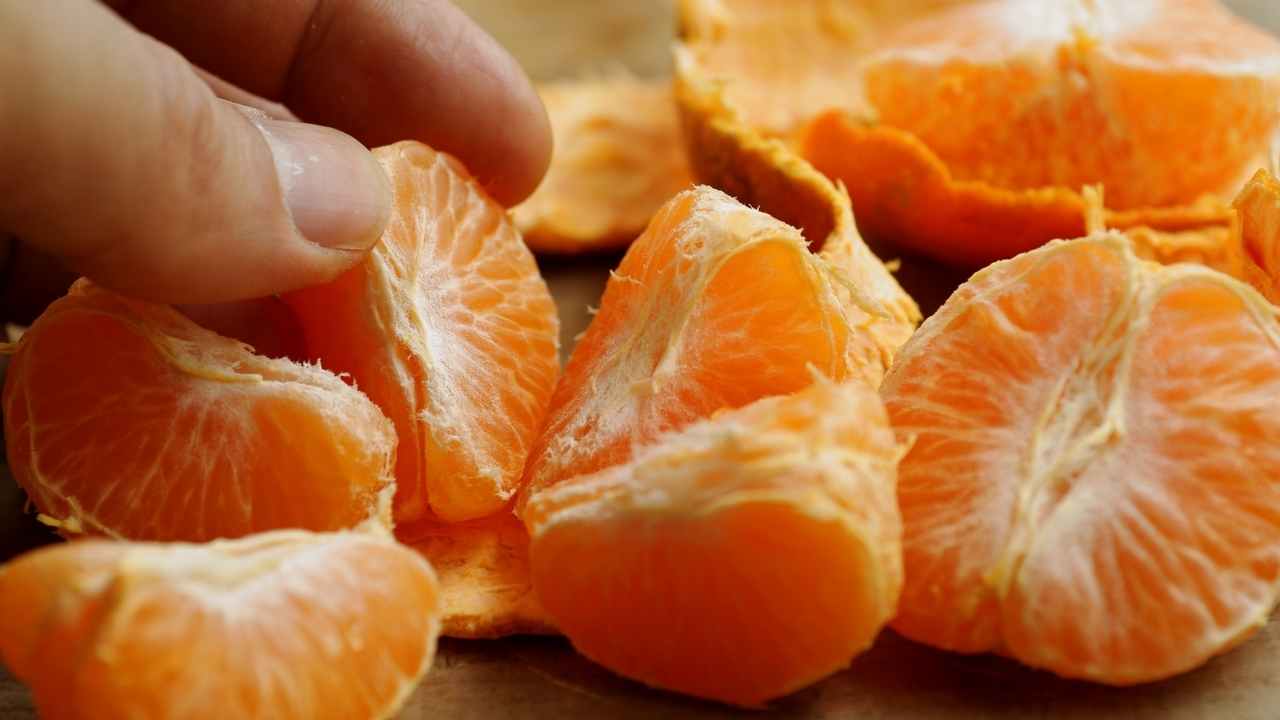 Can dogs eat Orange slices?