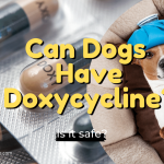Doxycycline For Dogs? Complete Doxycycline Drug Info