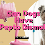 Pepto Bismol For Dogs? Complete Pepto Bismol Drug Info