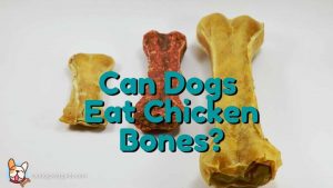 Can dogs eat chicken bones?