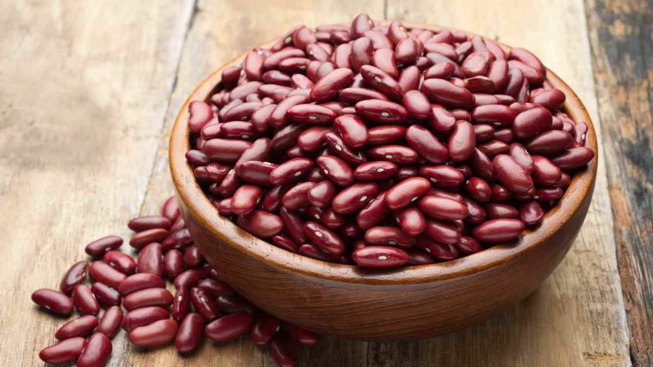 Can Dogs Eat Beans? Best Foods for Dogs 3 beans
