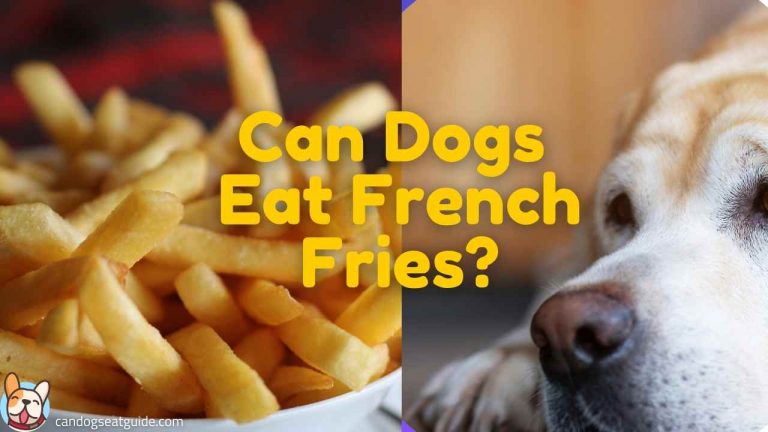 Can dogs eat French fries