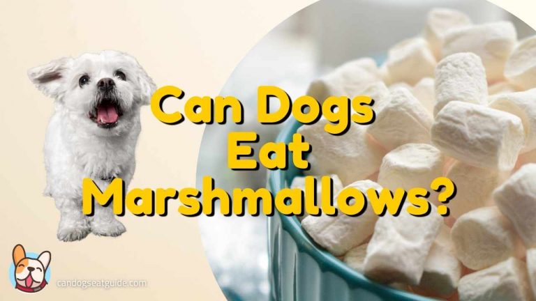 can dogs eat marshmallows?