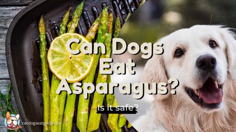 can dogs eat asparagus