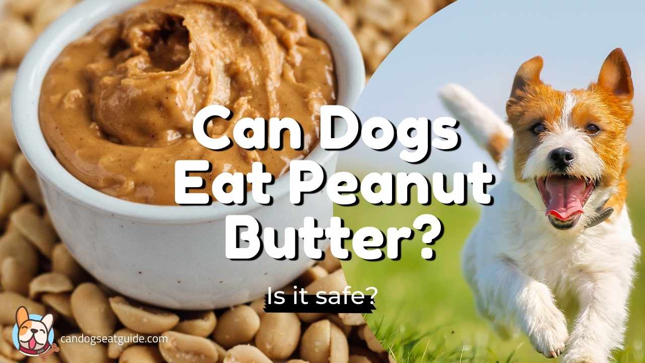 can dogs eat peanut butter