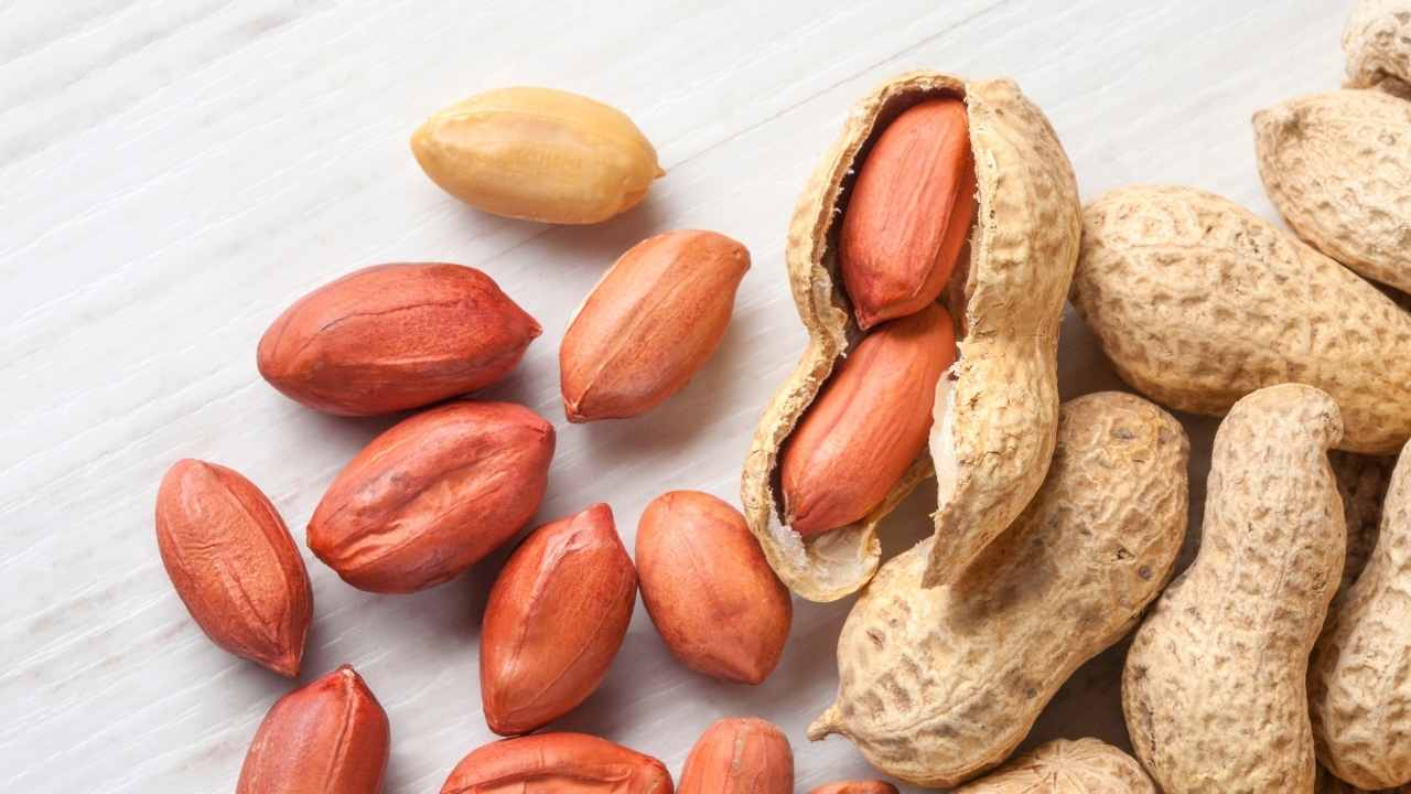 Can Dogs Eat Peanuts? Best Dog Treats 3 peanuts