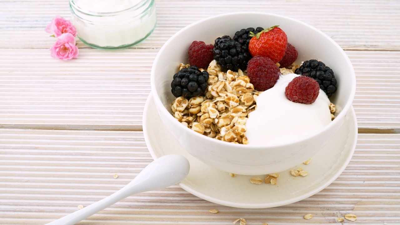 Can Dogs Eat Yoghurt- Important Things To Know 2 yoghurt with berries