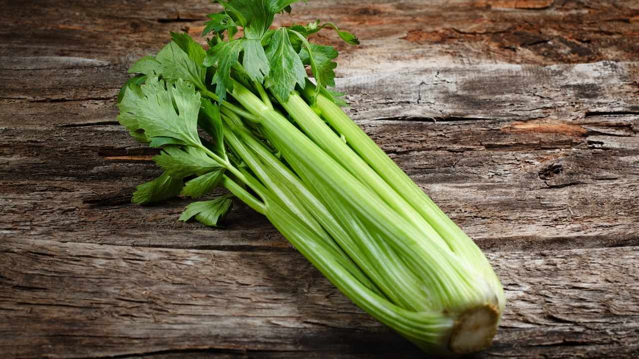 celery