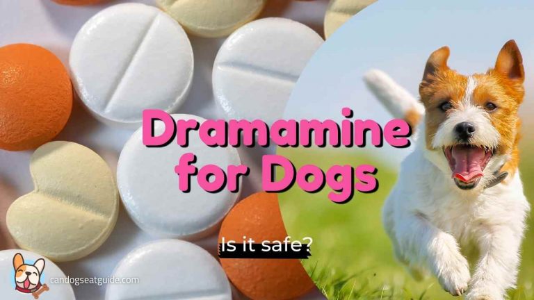 Dramamine for dogs