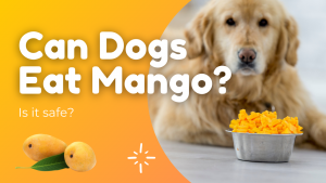 can dogs eat mango - dog eating mango