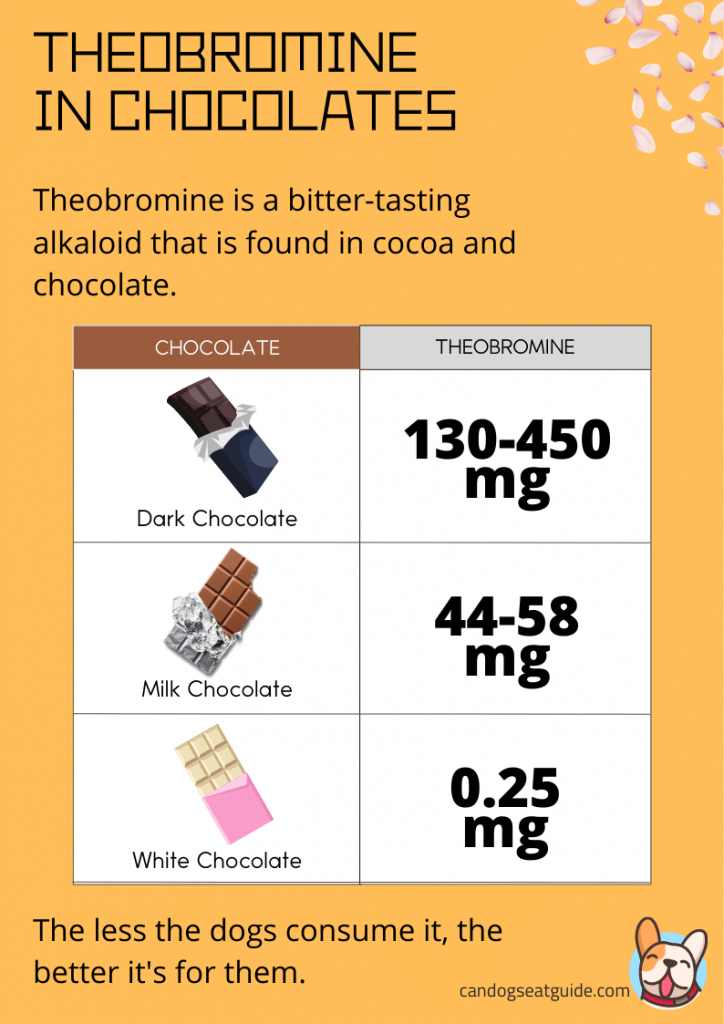 A table comparing the levels of theobromine in dark, milk, and white chocolate