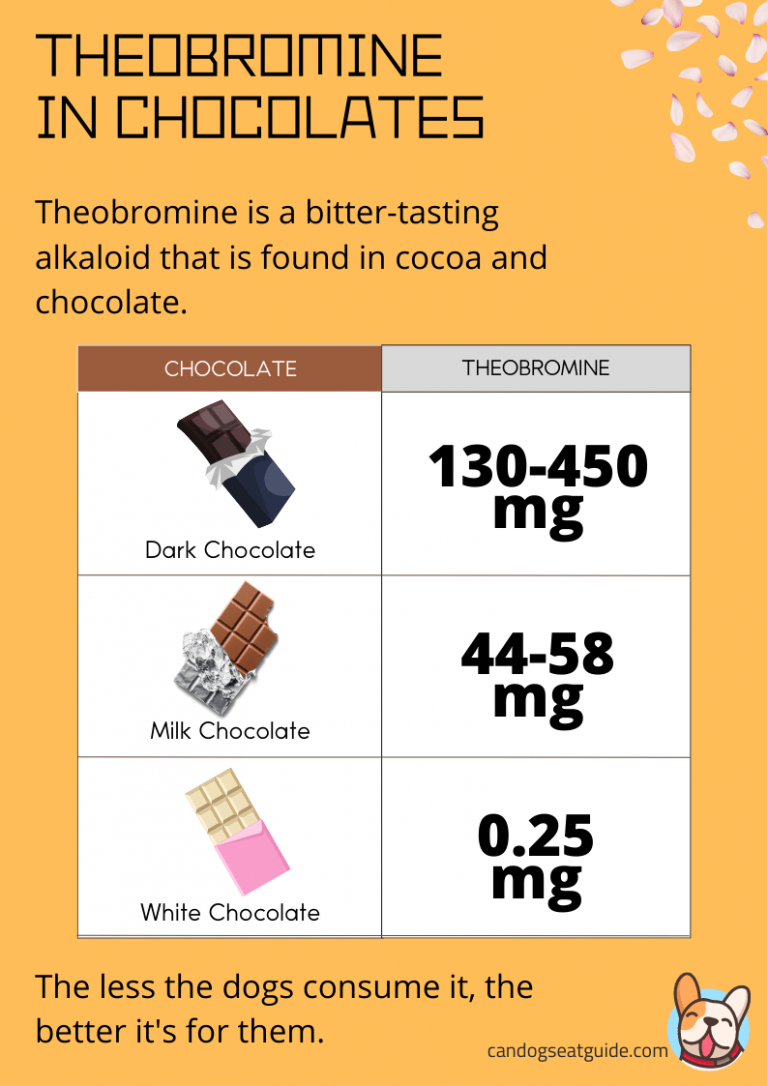 Can Dogs Eat White Chocolate? Is It Safe Or Not? [2022]