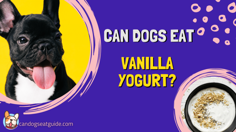 Can Dogs Eat Vanilla Yogurt