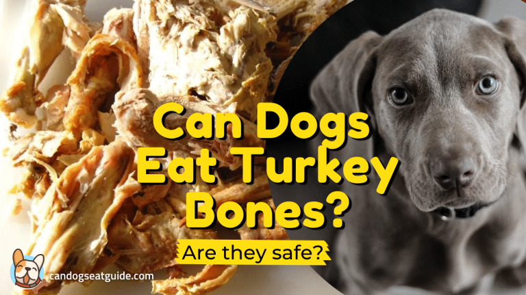 Can Dogs Eat Turkey Bones