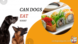 Can Dogs Eat Sushi