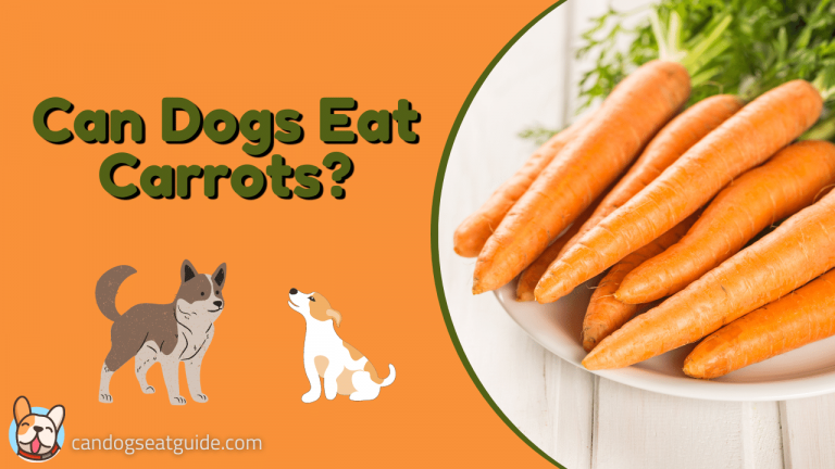 Can Dogs Eat Carrots