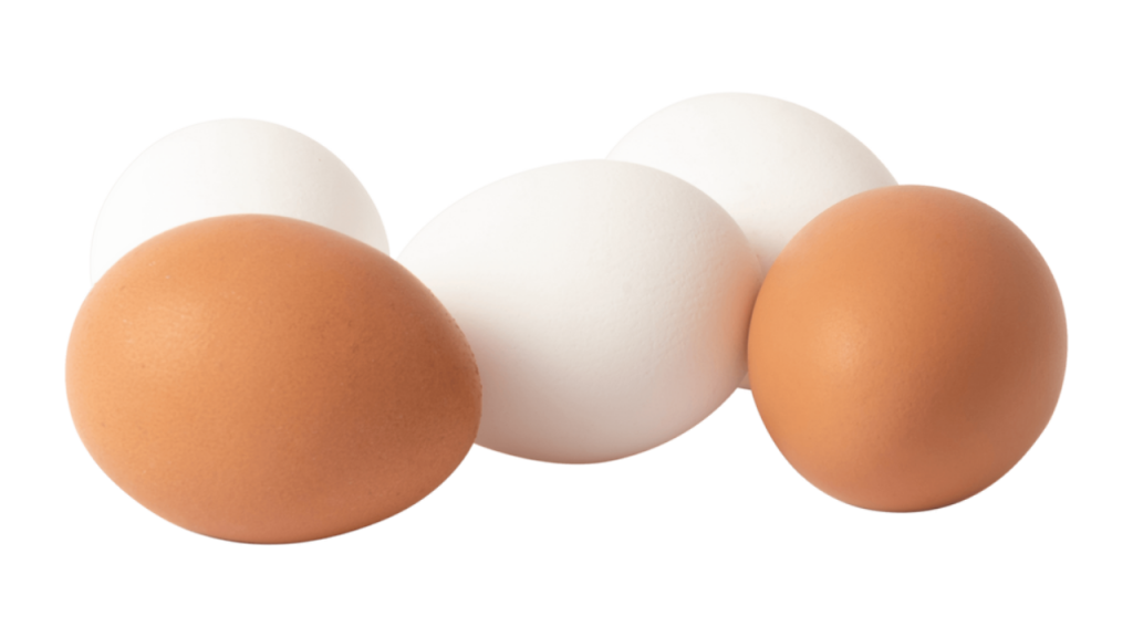 Can Dogs Eat Eggs? Can I Feed My Dog Eggs? 3
