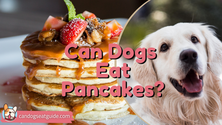 Can Dogs Eat Panackes