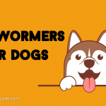 Best Dewormers For Dogs