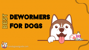 Best Dewormers For Dogs