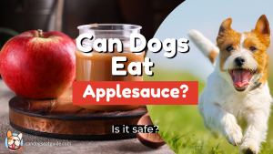 Can Dogs Eat AppleSauce