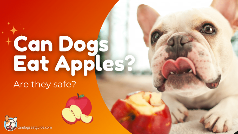 Can Dogs Eat Apples?