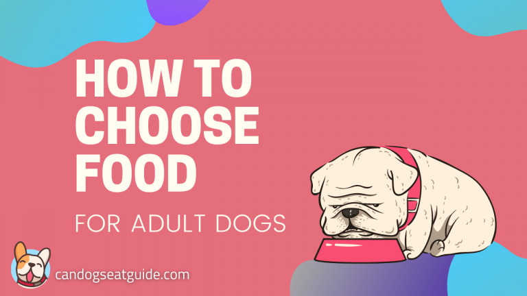 Food For Adult Dogs