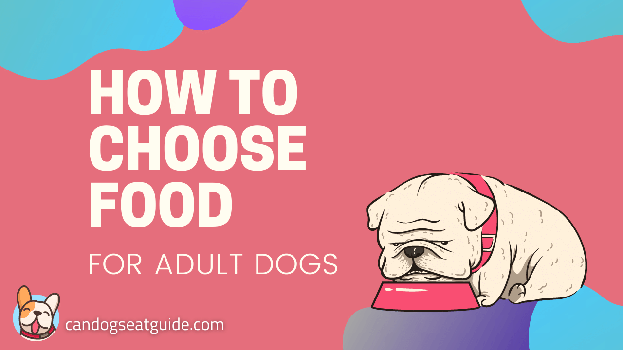 Food For Adult Dogs