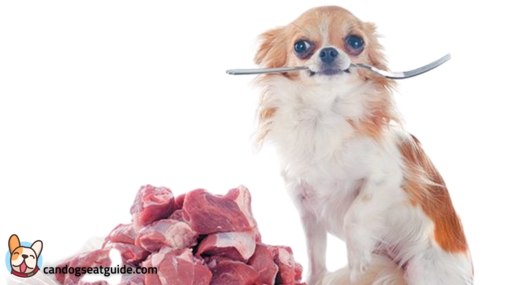 Can Dogs Eat Beef? How Can I Feed Beef To My Dog? 2