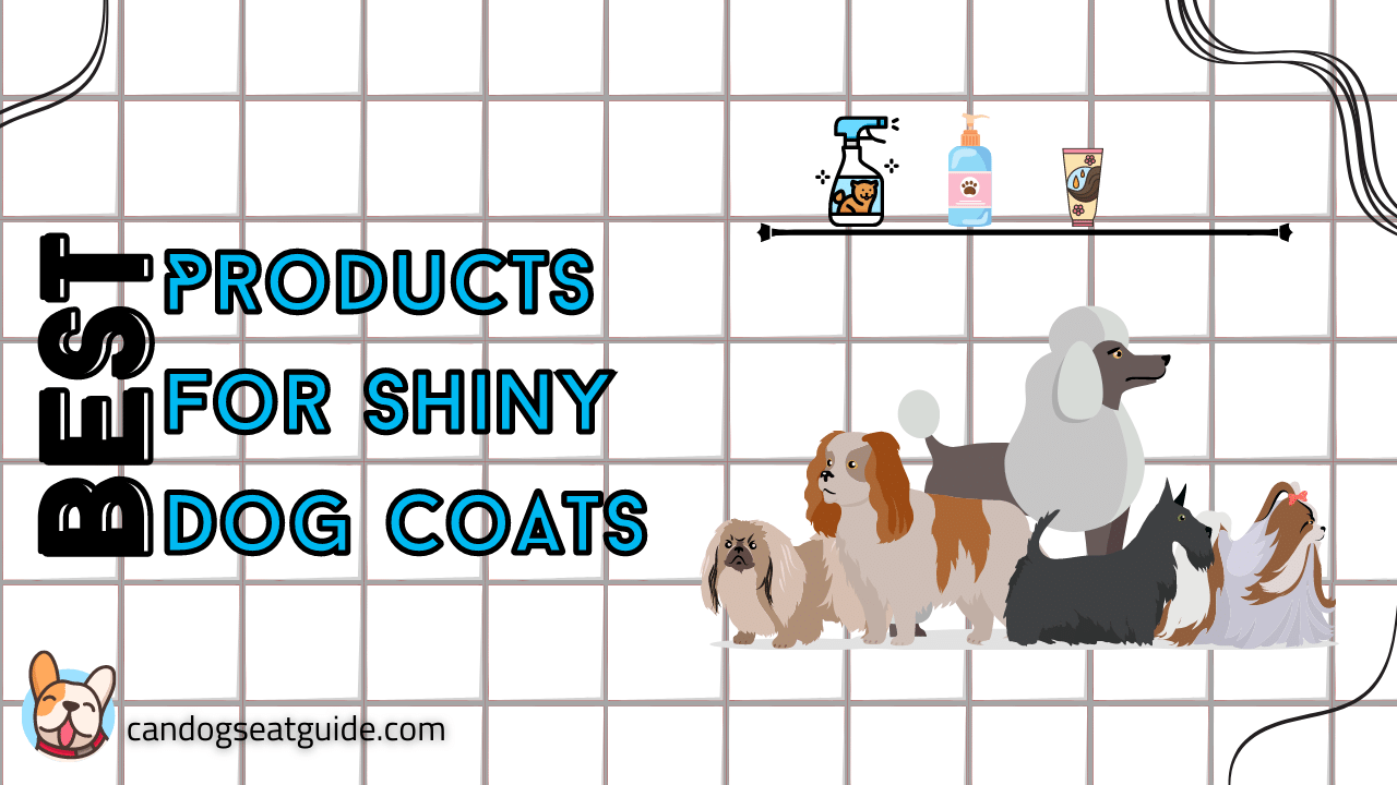 products for shiny dog coats
