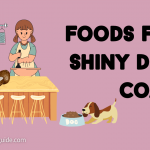 foods for shiny dog coats
