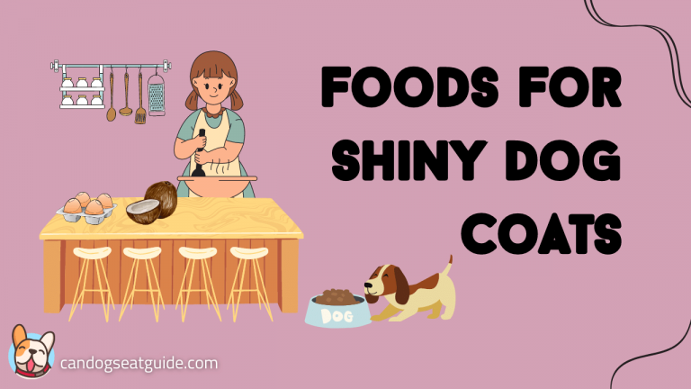 foods for shiny dog coats