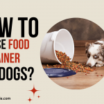 dog food container