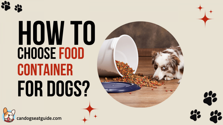Dog Food Container Guide 4 dog food container