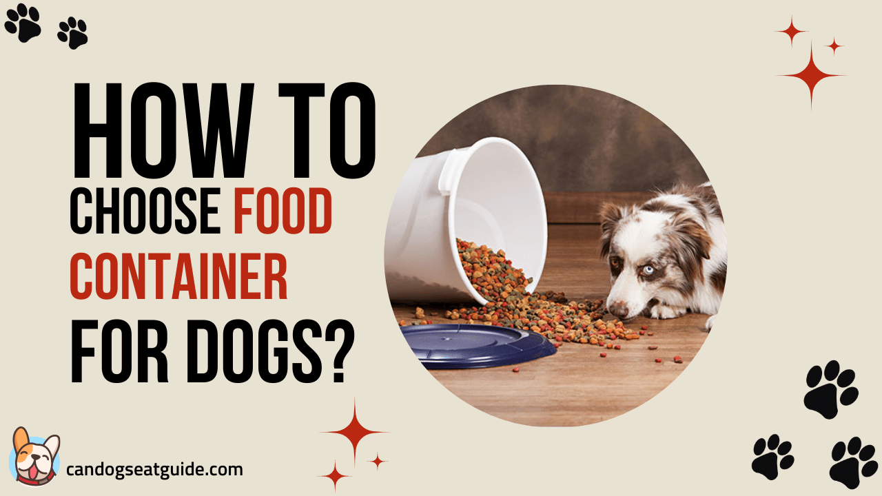 dog food container