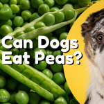 Can dogs eat peas