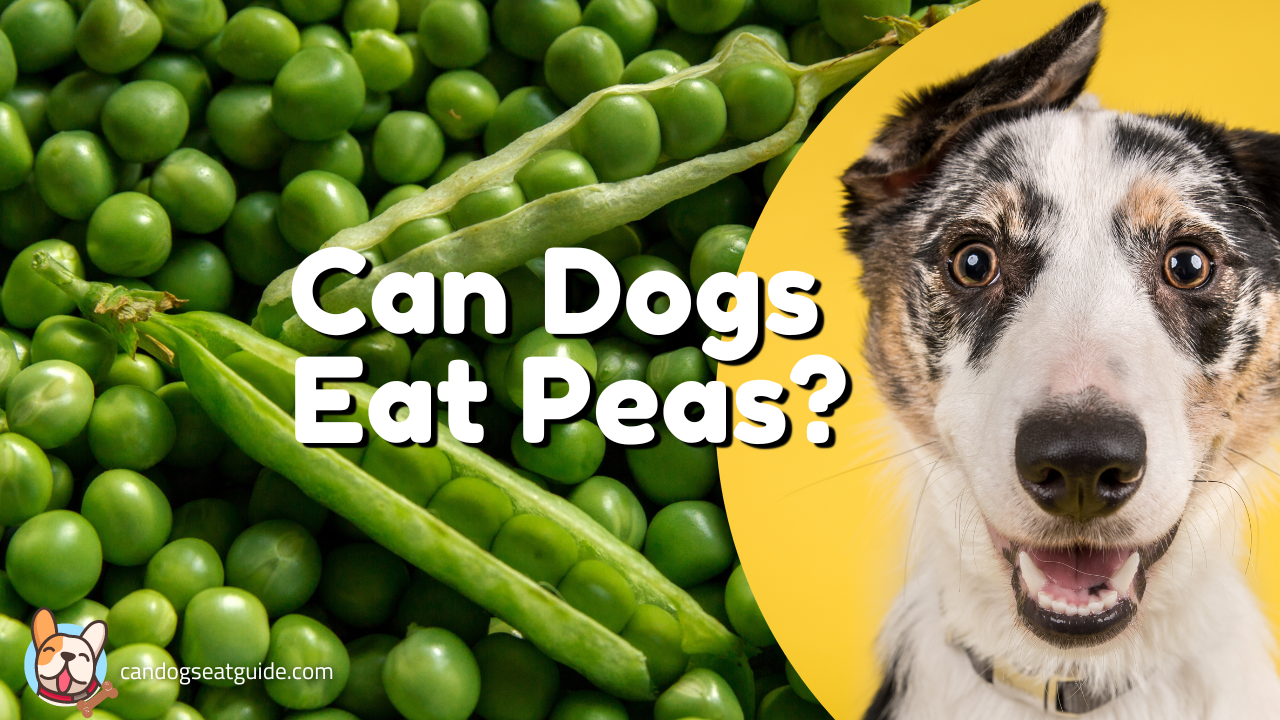 Can dogs eat peas