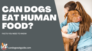 Can dogs eat human food