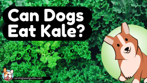 Can Dogs Eat Kale