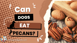 Can Dogs Eat Pecans