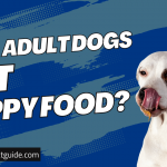 Can Adult Dogs Eat Puppy Food