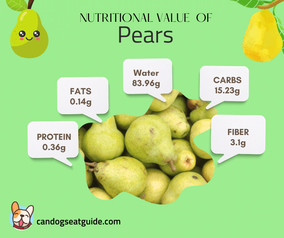Can Dogs Eat Pears? Benefits and Risks 4