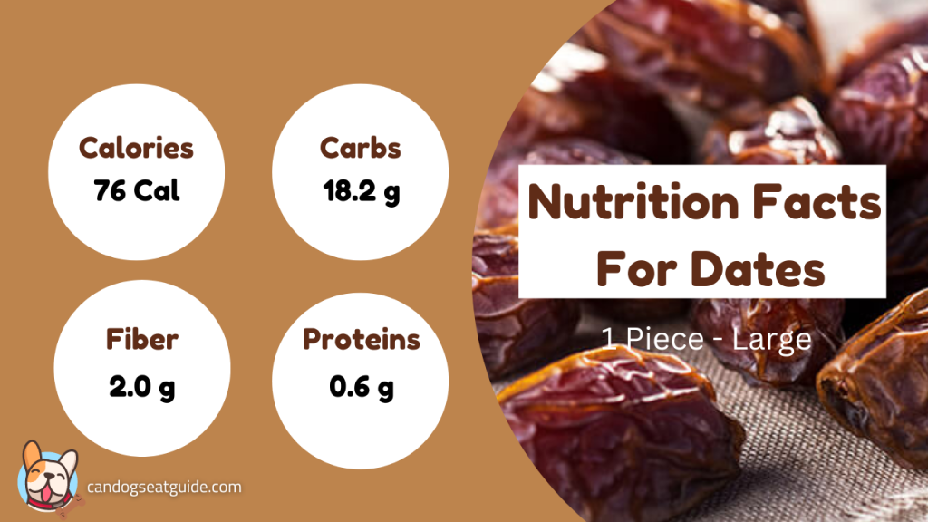 Can Dogs Eat Dates? Are Dates Healthy For Dogs? 3