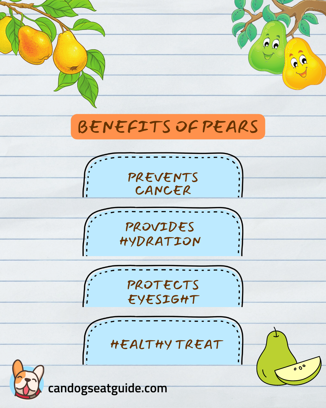 Picture of Can Dogs Eat Pears? A Beneficial And Safe Treat [2023]