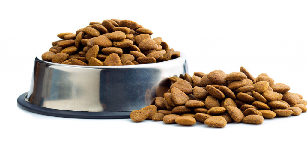 How to Choose The Best Food for Senior Dogs? 4