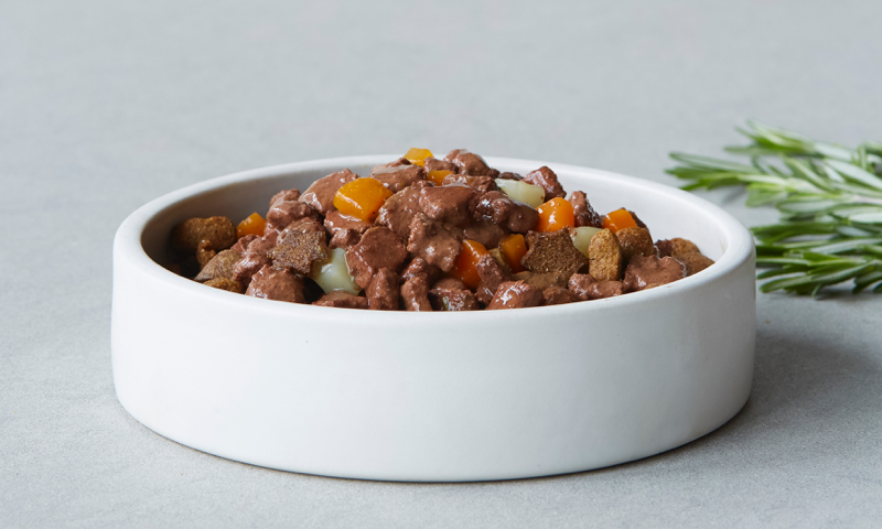 How to Choose The Best Food for Senior Dogs? 5