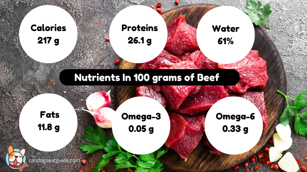 Can Dogs Eat Beef? How Can I Feed Beef To My Dog? 5
