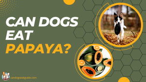 Can Dogs Eat Papaya