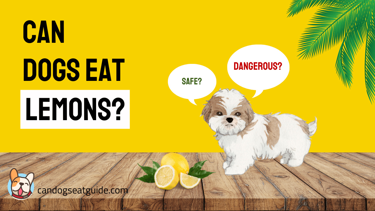 Can Dogs Eat Lemons