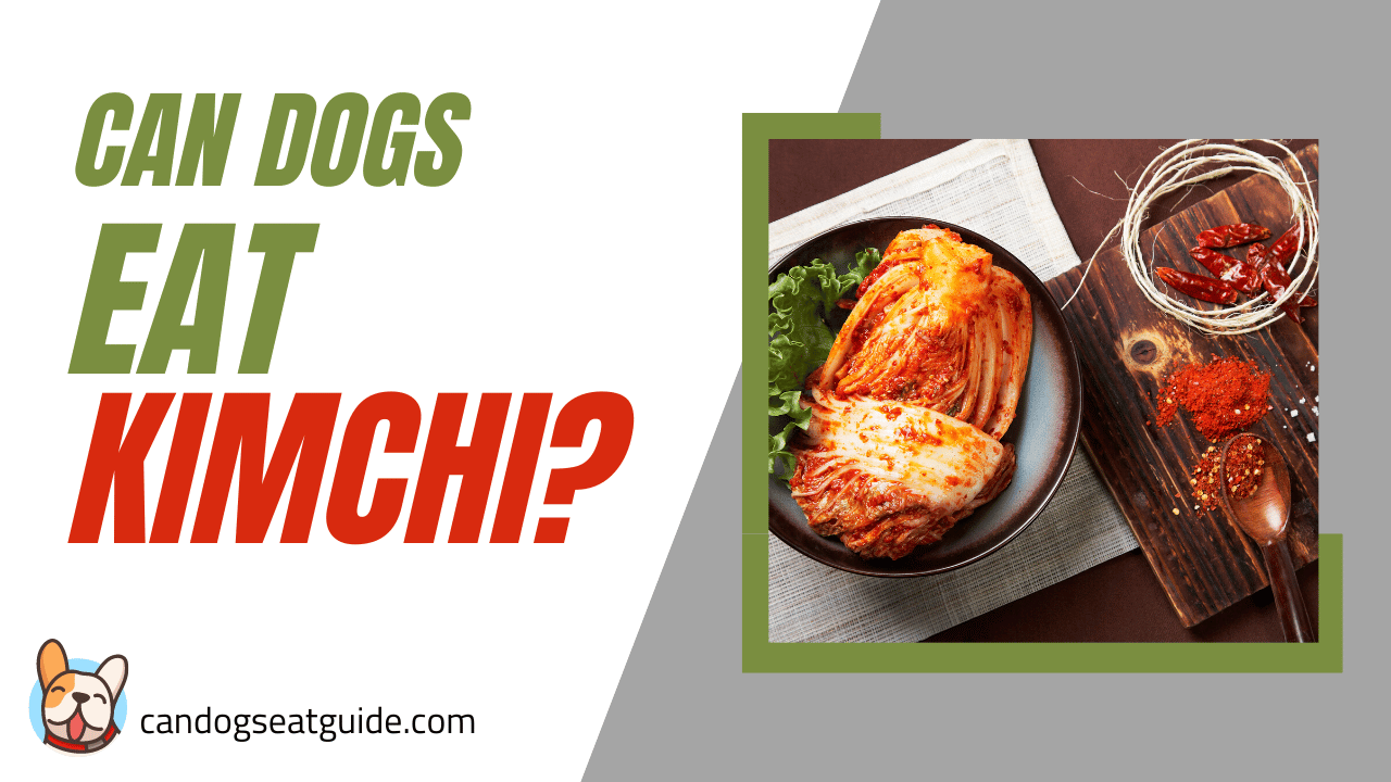 Can Dogs Eat Kimchi